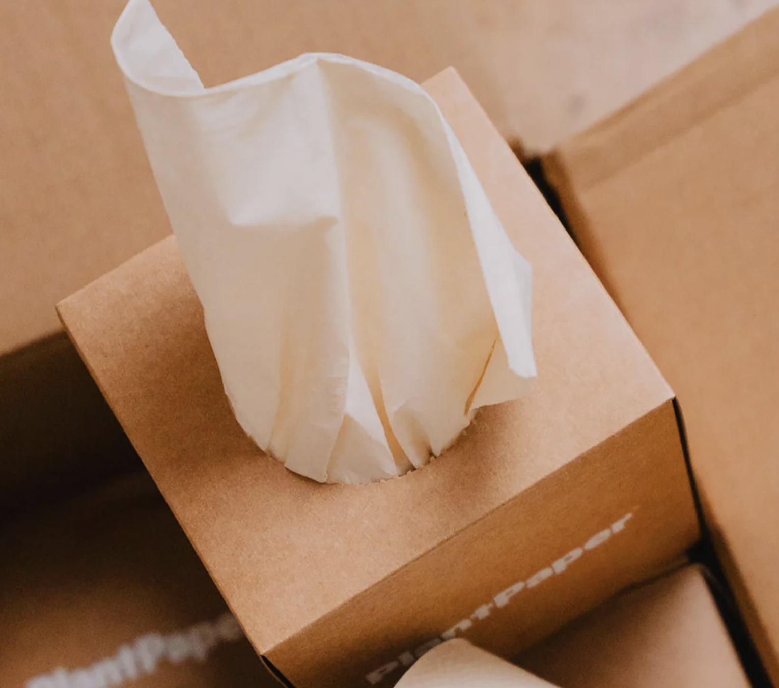 Bamboo Facial Tissue